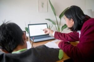 aulas particulares online