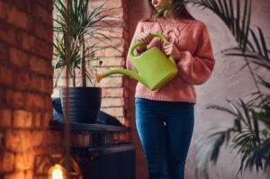 Dicas de jardinagem para apartamento