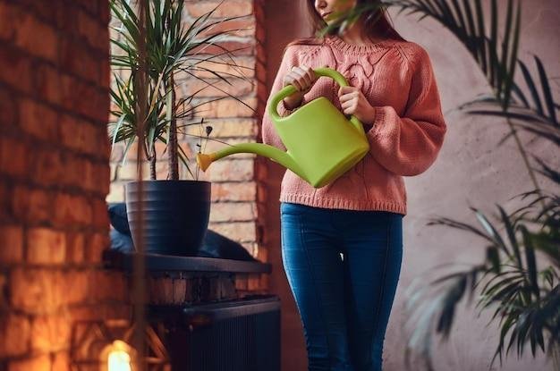 Dicas de jardinagem para apartamento